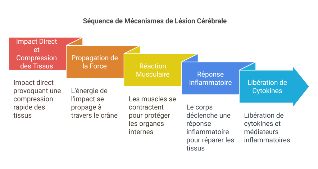 Contusion crânienne Blessures Sportives