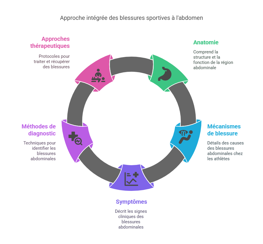 Blessures sportives à l'abdomen Blessures Sportives