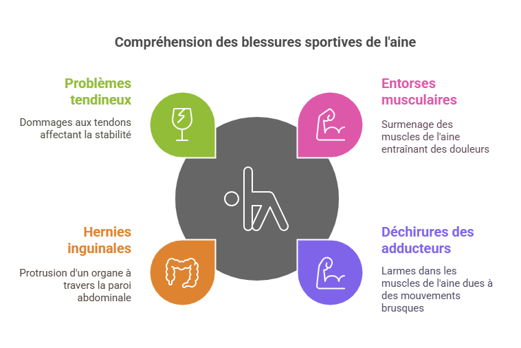 Blessures Sportives de l'Aine Blessures Sportives