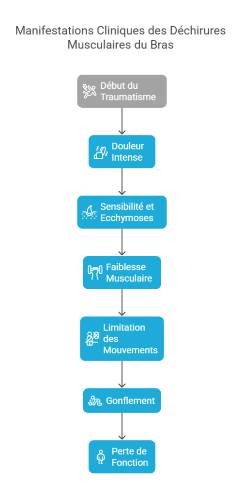 Déchirures Musculaires du Bras Blessures Sportives