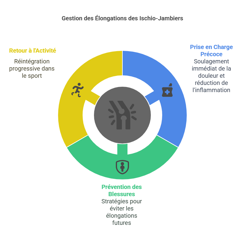Élongations des Ischio-Jambiers Blessures Sportives