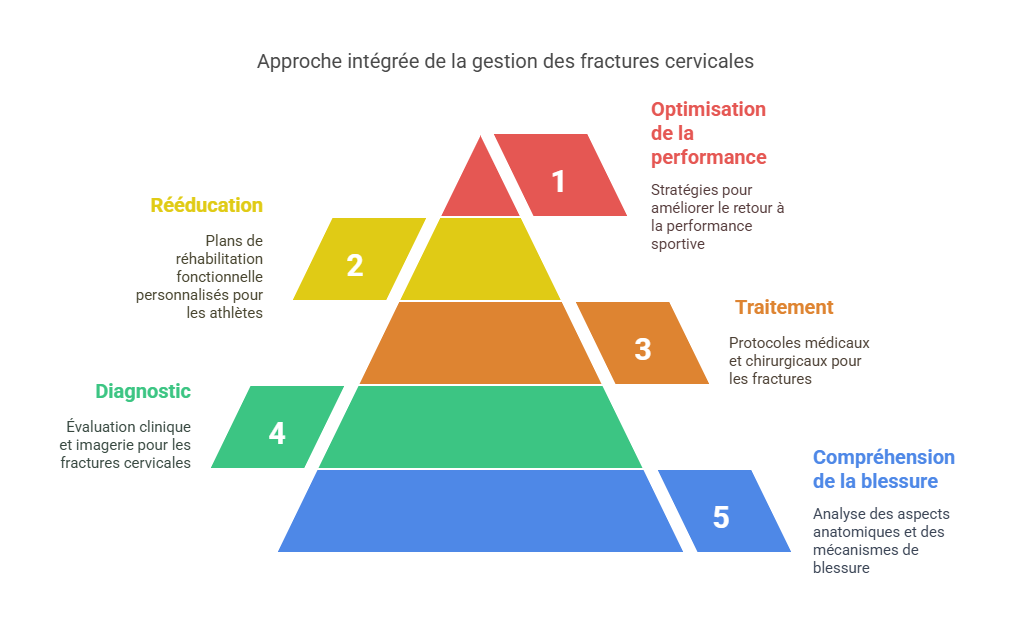 Fracture cervicale Blessures Sportives