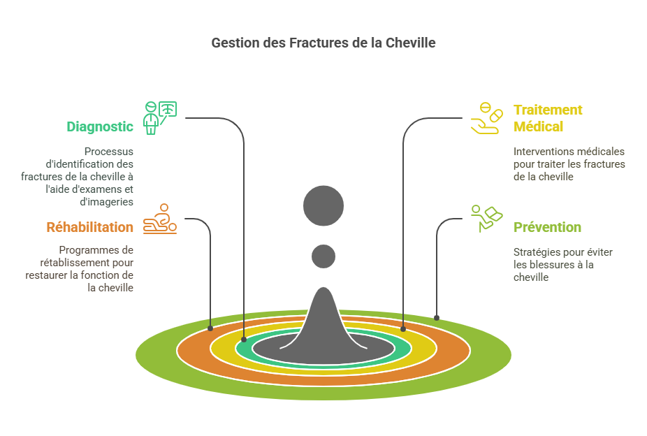 Fractures de la Cheville Blessures Sportives