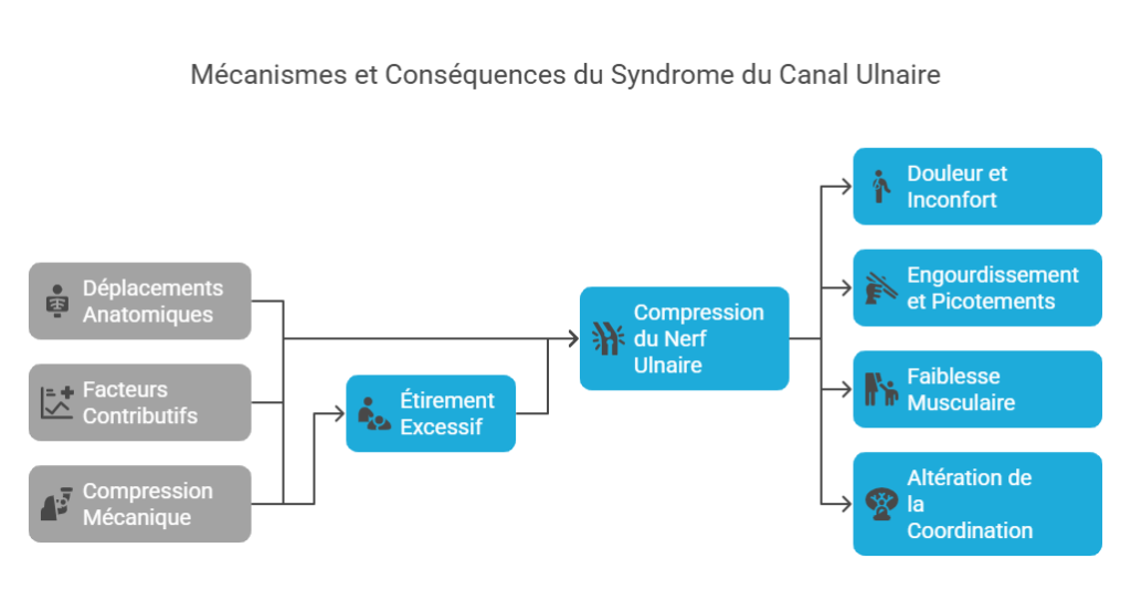 Syndrome du Canal Ulnaire au Coude Blessures Sportives