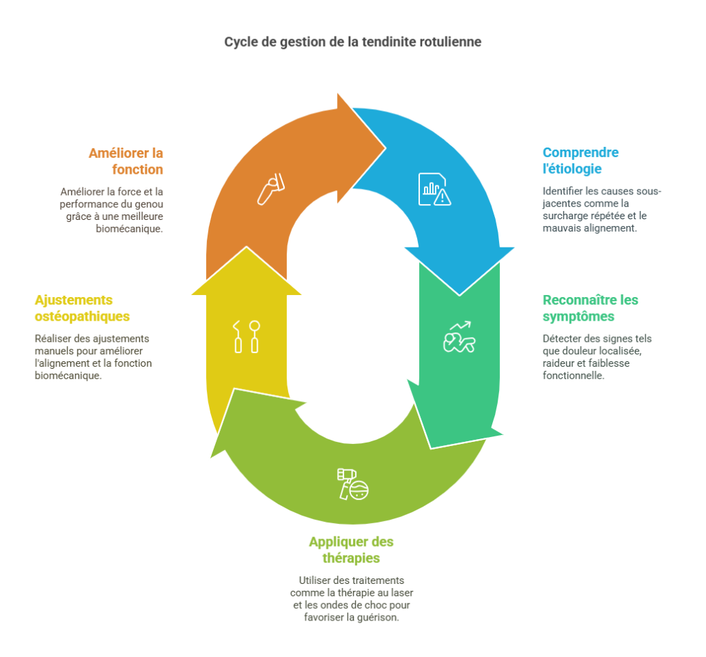 Blessures Sportives du Genou Blessures Sportives