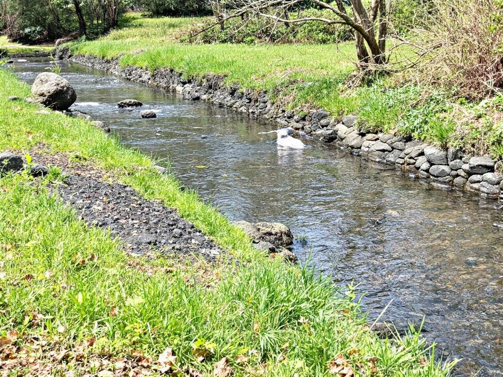 Syndrome du Canal Ulnaire au Coude