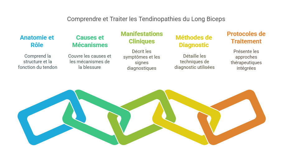 Tendinopathies du Long Biceps Blessures Sportives