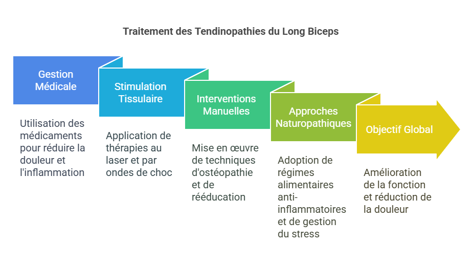 Tendinopathies du Long Biceps Blessures Sportives