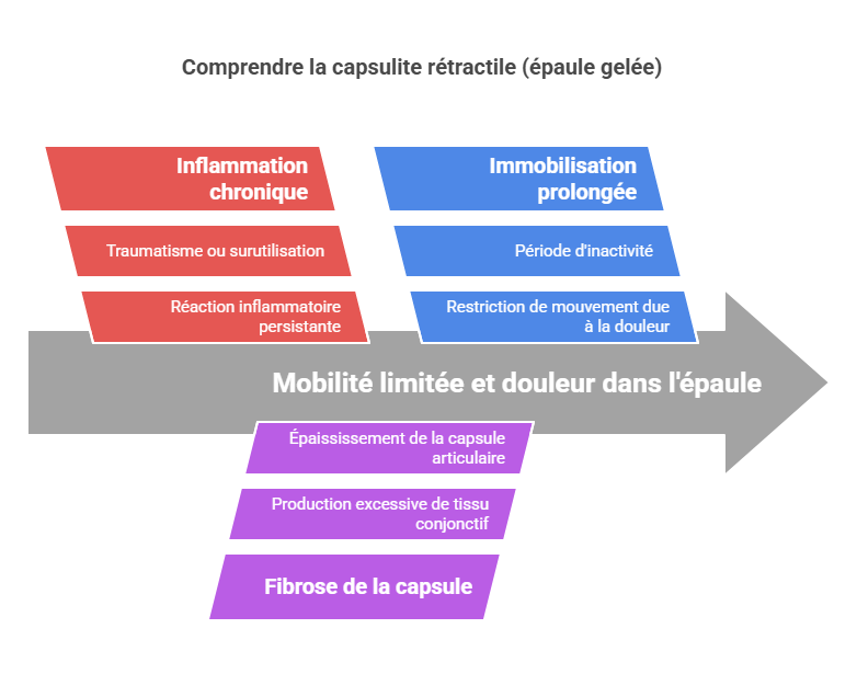 Blessures sportives à l'épaule Blessures Sportives