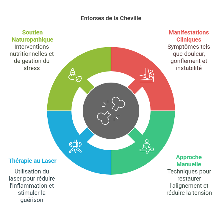 Blessures Sportives de la Cheville et du Pied Blessures Sportives